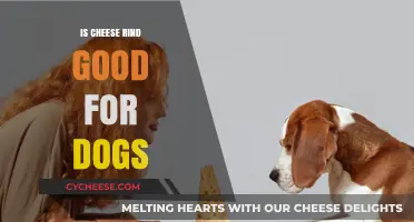 Cheese Rind: Safe or Harmful for Dogs?