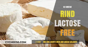 Cheese Rind: Lactose-Free or Not?