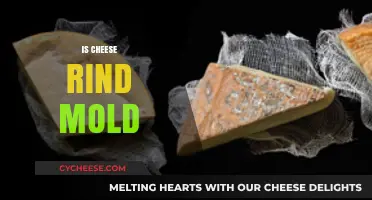 Is Cheese Rind Mold Safe to Eat? A Complete Guide