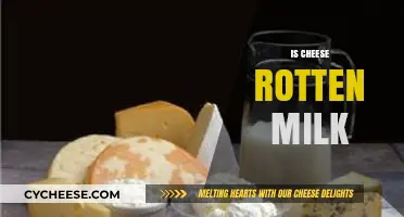 Is Cheese Rotten Milk? Unraveling the Dairy Transformation Mystery