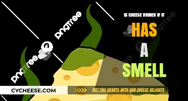 Does Smelly Cheese Mean It's Ruined? The Truth About Cheese Odor