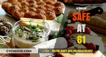 Is Cheese Safe at 61 Degrees? Facts and Myths Explained