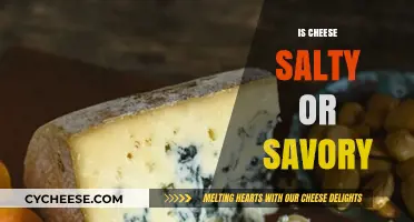 Is Cheese Salty or Savory? Decoding Its Flavor Profile