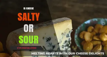 Is Cheese Salty or Sour? Unraveling the Flavor Mystery
