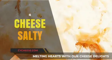 Is Cheese Salty? Unraveling the Flavor Profile of Your Favorite Dairy