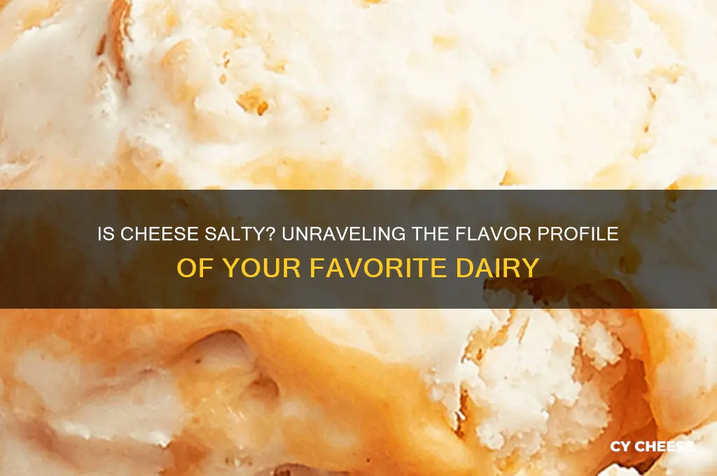 is cheese salty