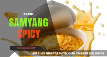 Is Cheese Samyang Spicy? Unraveling the Heat Level of This Popular Snack