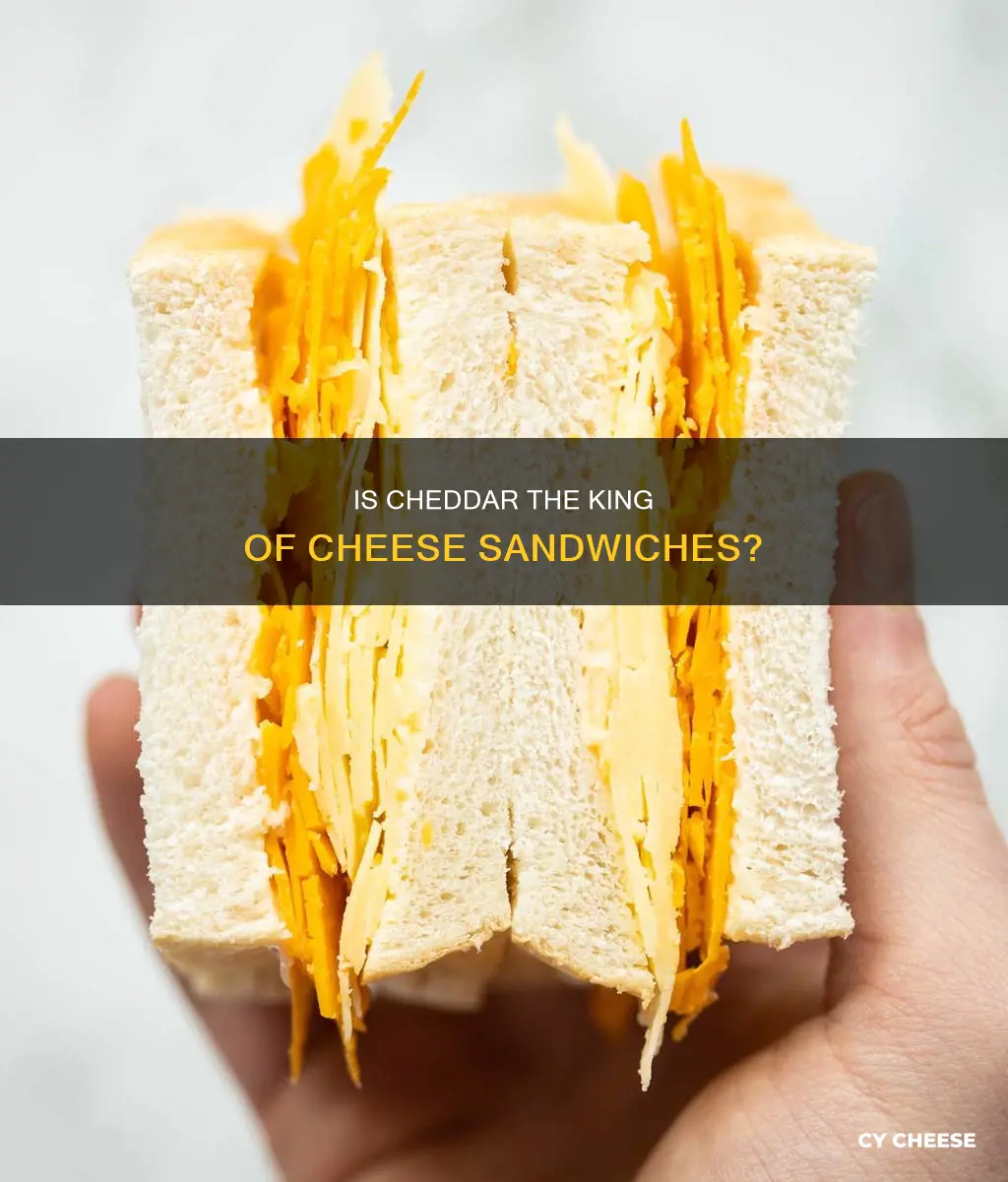 is cheese sandwich cheddar