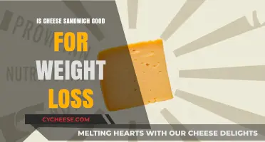 Cheese Sandwiches: Healthy Weight Loss Option?