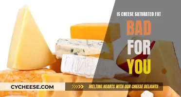 Cheese and Saturated Fats: Friend or Foe?