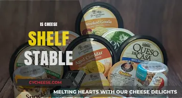 Is Cheese Shelf Stable? Understanding Storage and Freshness Tips