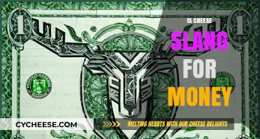 Is Cheese Slang for Money? Unraveling the Urban Dictionary Mystery