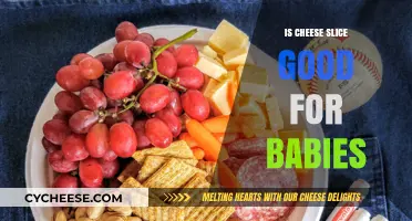 Cheese Slices: A Healthy Snack Option for Babies?