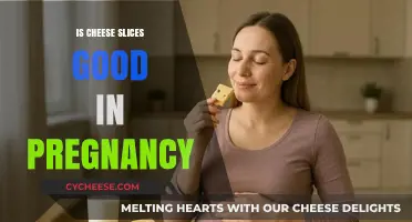 Cheese Slices: Safe Pregnancy Snack?