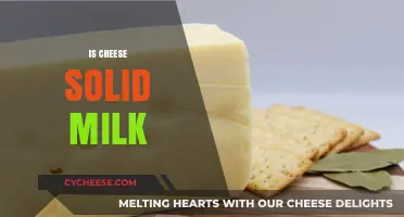 Is Cheese Solid Milk? Unraveling the Dairy Transformation Mystery