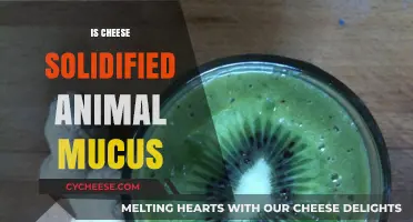 Is Cheese Solidified Animal Mucus? Debunking the Dairy Myth