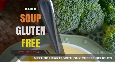 Cheese Soup: Gluten-Free Comfort Food
