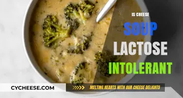 Can Lactose Intolerant People Enjoy Cheese Soup? Find Out Here