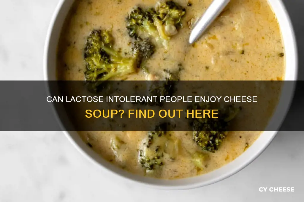 is cheese soup lactose intolerant
