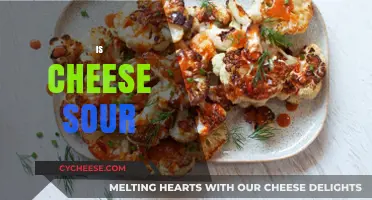 Is Cheese Sour? Exploring the Tangy Truth Behind Dairy's Flavor