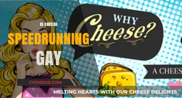 Exploring the Intersection of Cheese Speedrunning and LGBTQ+ Identity