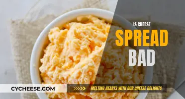 Cheese Spread: Healthy or Harmful?
