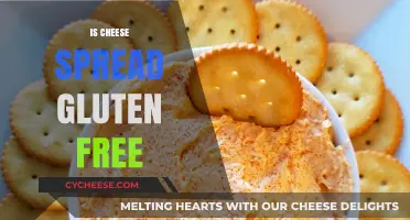 Cheese Spreads: Are They Gluten-Free?