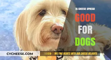 Cheese Spread: A Healthy Dog Treat?
