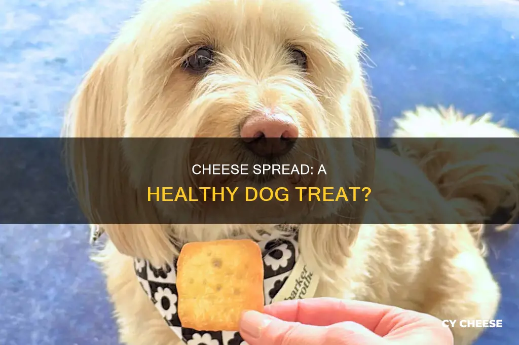 is cheese spread good for dogs