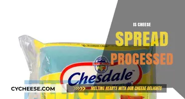 Is Cheese Spread Processed? Uncovering the Truth Behind Your Favorite Snack