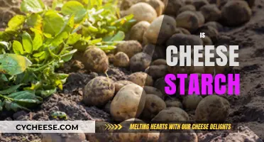 Is Cheese a Starch? Unraveling the Nutritional Mystery of Dairy