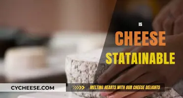 Is Cheese Sustainable? Exploring Dairy's Environmental Impact and Solutions