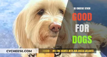 Cheese Sticks: Healthy Dog Treats or Not?