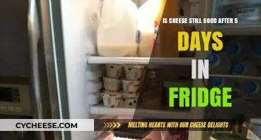 Cheese in Fridge: How Long is Too Long?