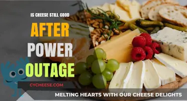 Cheese Safety: Power Outage Edition