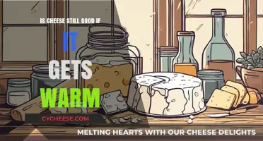 Cheese Storage: Warm Temperature Effects Explained