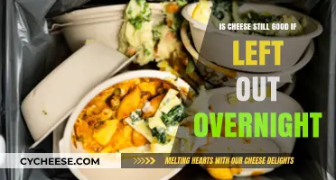 Overnight Cheese: Safe to Eat or Toss It Out?