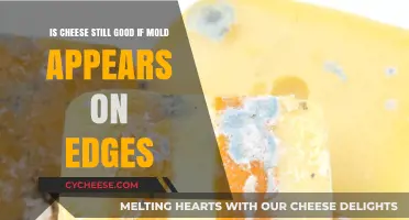 Cheese and Mold: When to Toss and When to Save