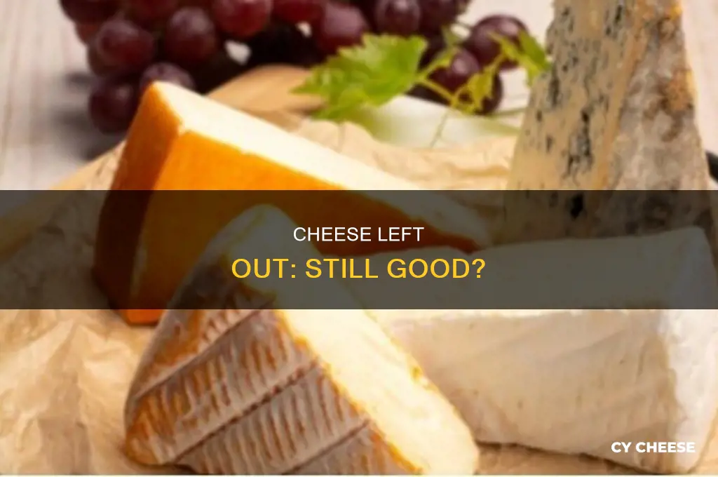 is cheese still good when left out