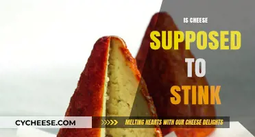 Does Cheese Need to Smell Strong? Unraveling the Stinky Cheese Myth