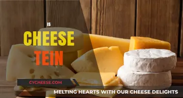 Is Cheese a Protein Source? Unraveling the Nutritional Truth