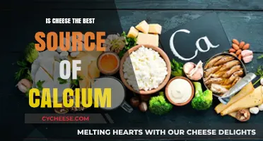 Cheese: Calcium's Best Friend or Worst Enemy?