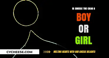 Is Cheese the Chao a Boy or Girl? Unraveling the Mystery