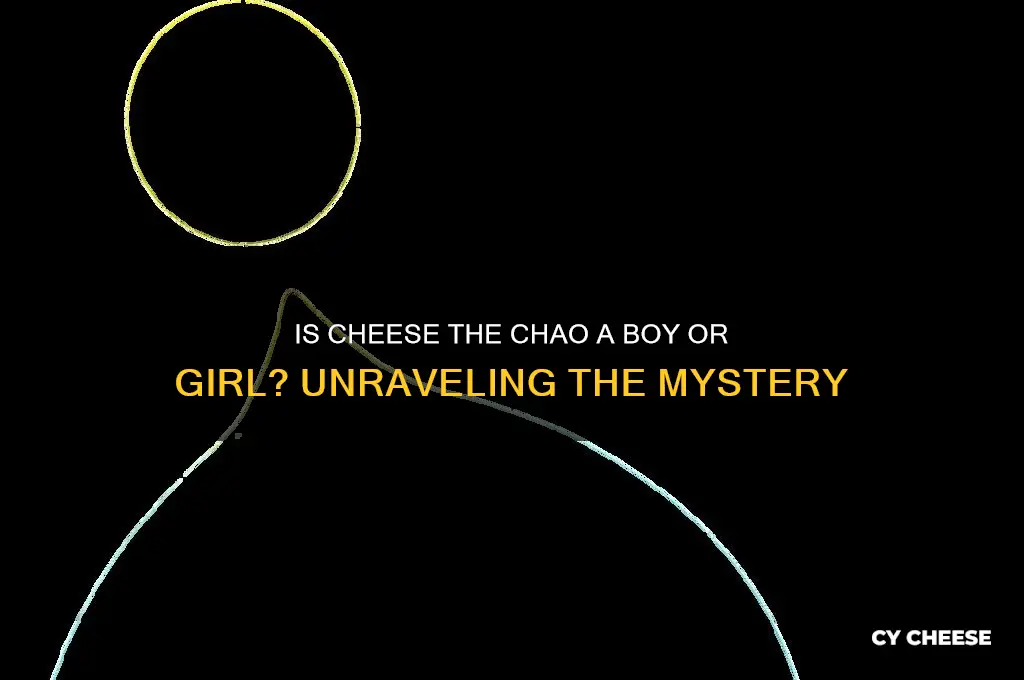 is cheese the chao a boy or girl