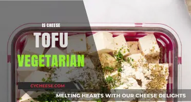 Is Cheese Tofu Vegetarian? Unraveling the Ingredients and Ethics