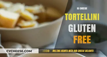Gluten-Free Cheese Tortellini: Is It Possible?