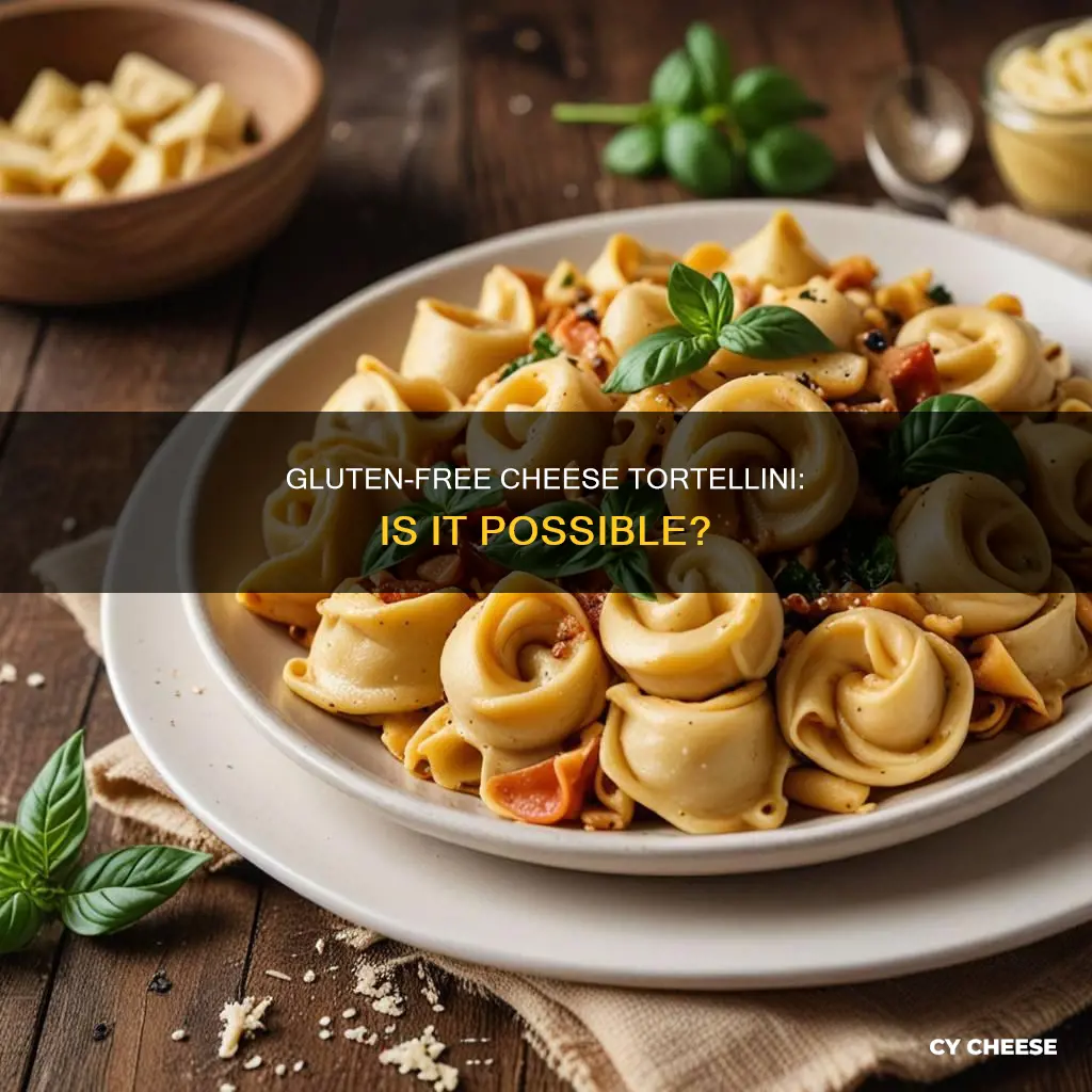 is cheese tortellini gluten free