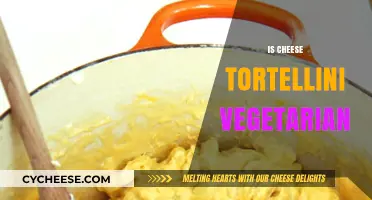 Is Cheese Tortellini Vegetarian? Ingredients and Dietary Considerations Explained