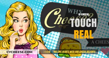 Is Cheese Touch Real? Unraveling the Myth and Science Behind It