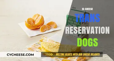 Is Cheese Trans in Reservation Dogs? Exploring Representation and Identity